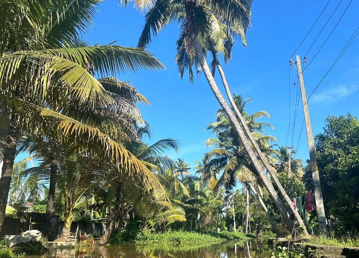 Beachcampers For Foreign Travelers Only Alappuzha Vandrarhem